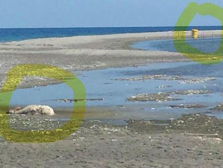 ee8a199abb060d089f2c228a491e5205