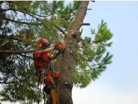 ee9cf426f3a66d073836f01605d97213