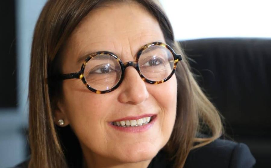 Stati generali, il Pd avanza proposte per il Sud. Bruno Bossio: "Governo valuti" 51 enza bruno bossio 01 4