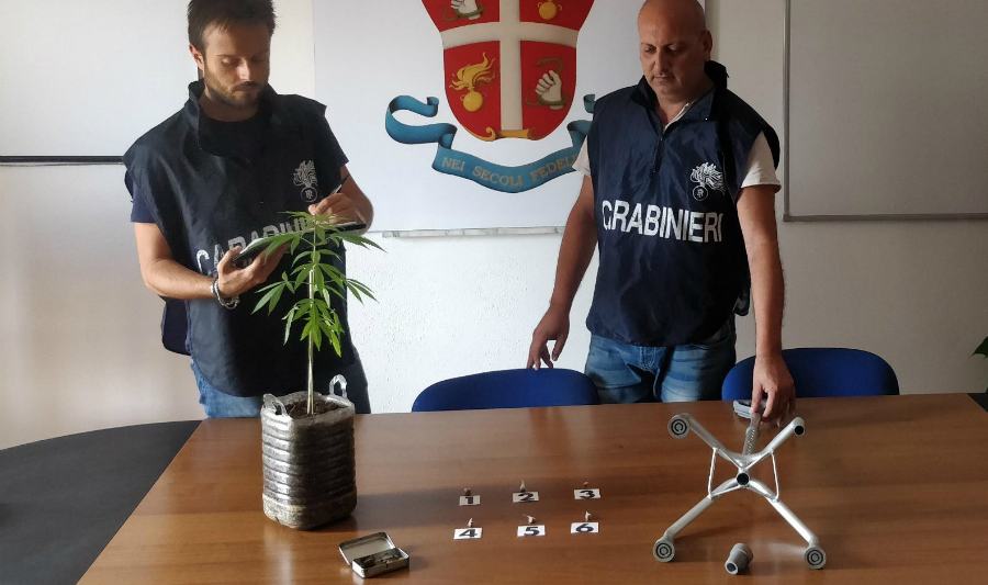 Nasconde l'eroina nella stampella, arrestato quarantenne 51 eroina stampella e pianta marijuana corigliano
