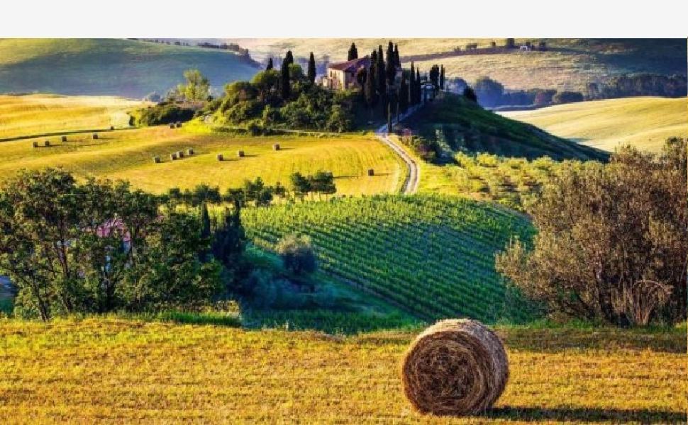 estate campagna 1