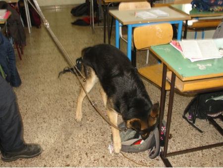 f018552ee20281287634a275f718b233