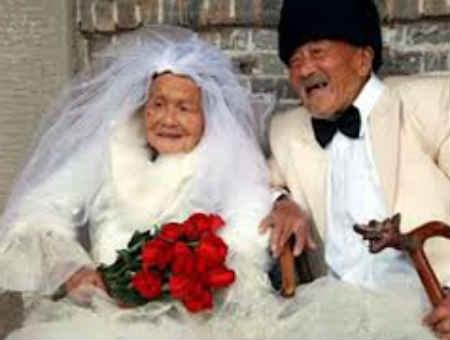 f137dcece48070a913d9f960d76f0319