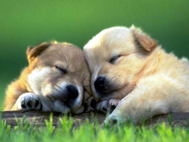 f13dc54e2a32352c1e6eb55e7ea06bbf