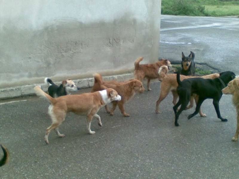 f161d89b953f815fc0ccddd4bbfbe079