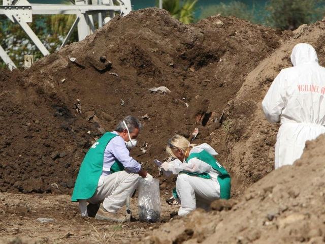 f1759043f91be5c4a1acaaa7929d40af