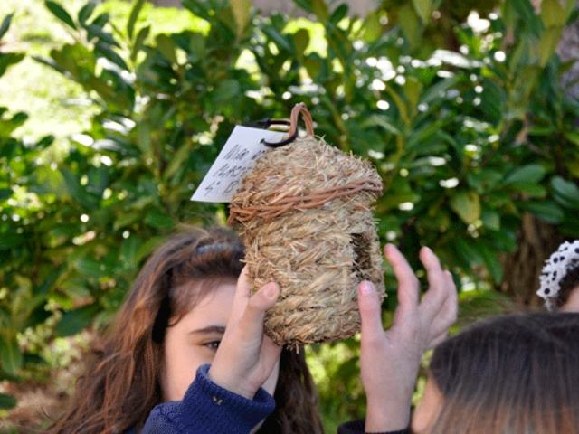 f1a1db98581561160371ed78a846cfad