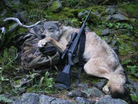 f1e88d553d78ac9aa865bc9710cdbea6