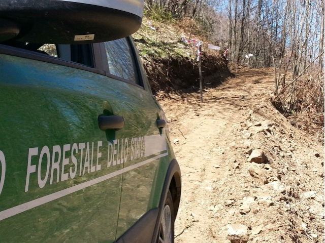 f2645b09a70e1233303153907b91ba80