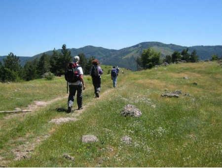 f28321ac38e2eb80ba85ea6ff74eb03c