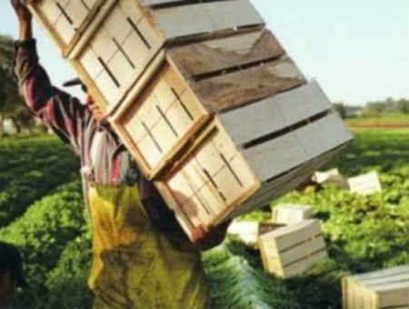 f2923d28af321a6b2304f407777b0f9e