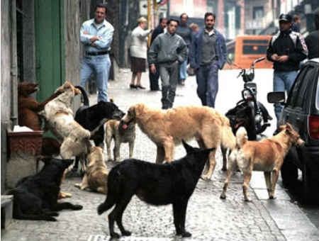 f2a45d40bd4cedd88506560045ec91e2