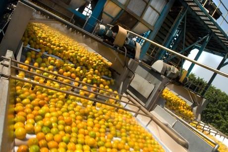 f2db251a3564ed29391a1cee17a737a1