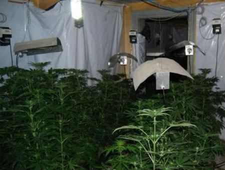 f3d269663cf1ab3db4ba220ba3eb13c9