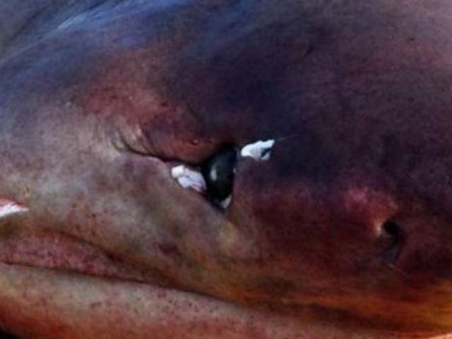 f45c67357622c31d6c1b01b85dd4b5e3