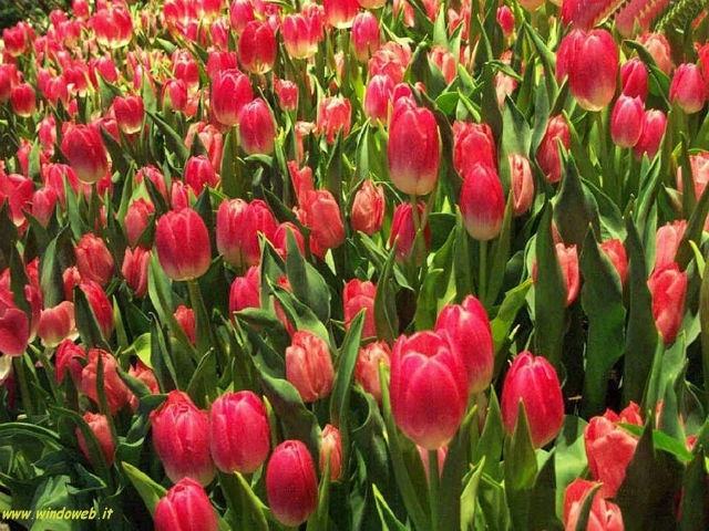 f45d655575e97f094813cafeb5b8ded9