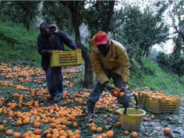 f461c3bfcab5fe9b328e6846079fc94c