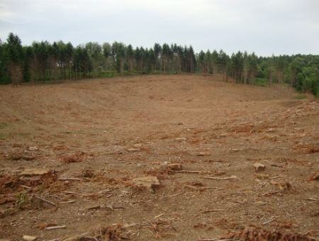 f5bba4c2c069c43174b2441b90991795