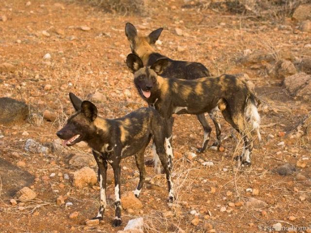 f65a352275bc203b4af4fd7b36274d65