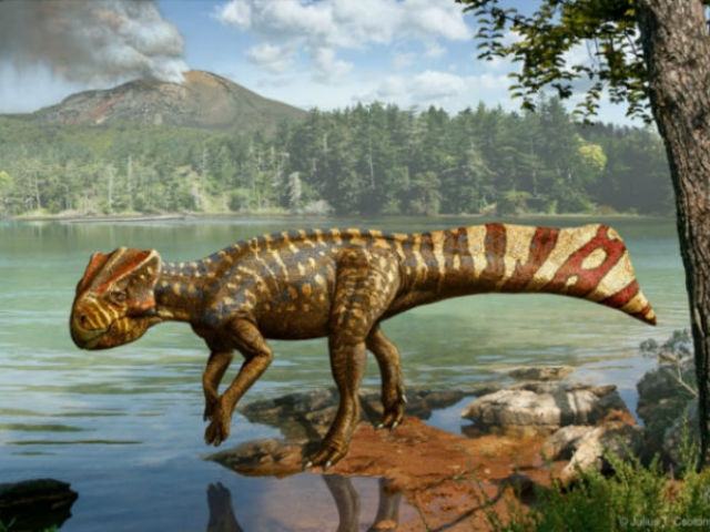 f6e558386fdb58e34c89a6e6ff6c5e37