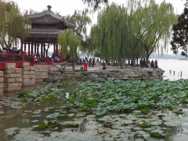 f97836c4e1797975b631cfbd9a62319c