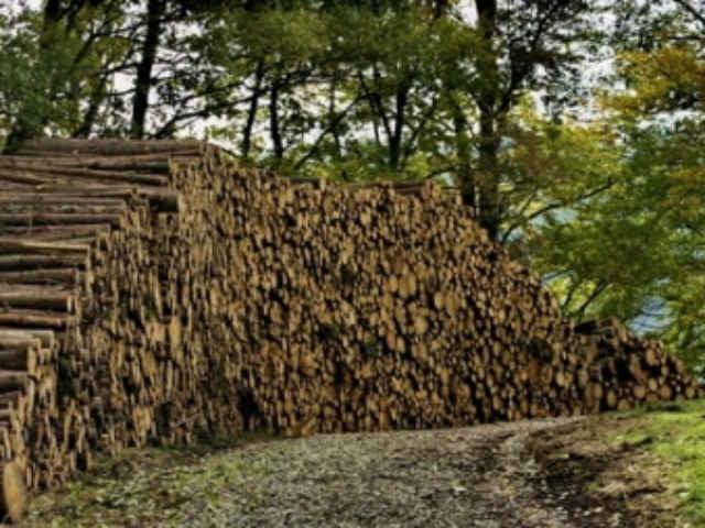 f9f22863c480529309400357ee85905e