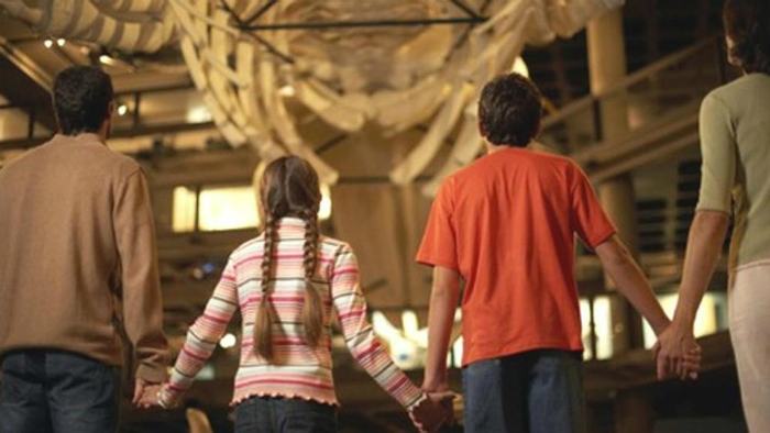 Anche Cosenza partecipa alla giornata "Famiglie al Museo", sul tema 'La cultura abbatte i muri' 53 famiglie al museo