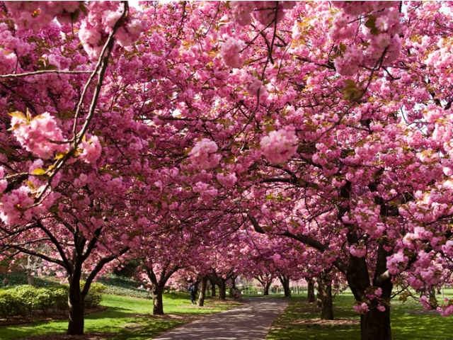 fb4fbe13f900c47396e286080000a10a