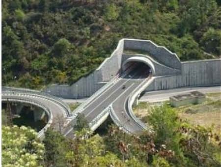 fbcfed5535cb70275d82c166c363c7ed