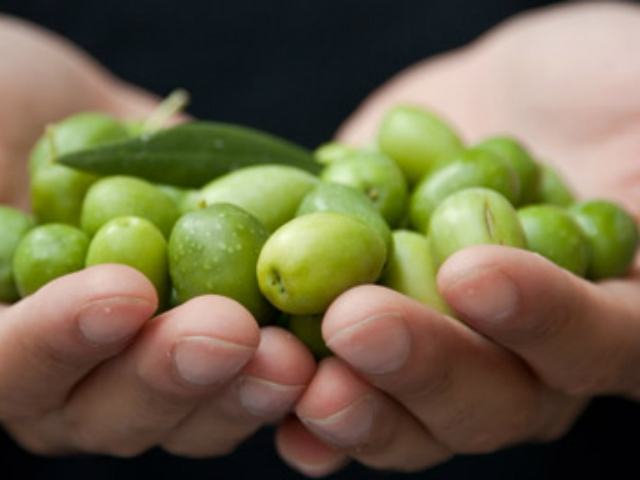 Oggi a Cosenza un convegno su 'eccellenze agroalimentari calabresi, come prodotti turistici' 51 fc666f54395d3f11edbb7f5f3b268441