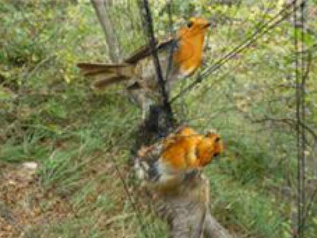 fd431274e3486190d11e6ac8394af090