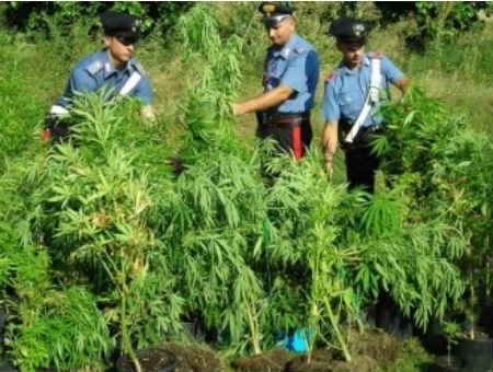 fd7b6ac2bb8245841596981c7cdc4a91