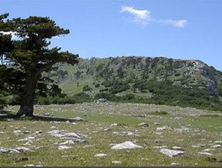 fe4dcfa16dfbf15cce7b7a7465e0546e