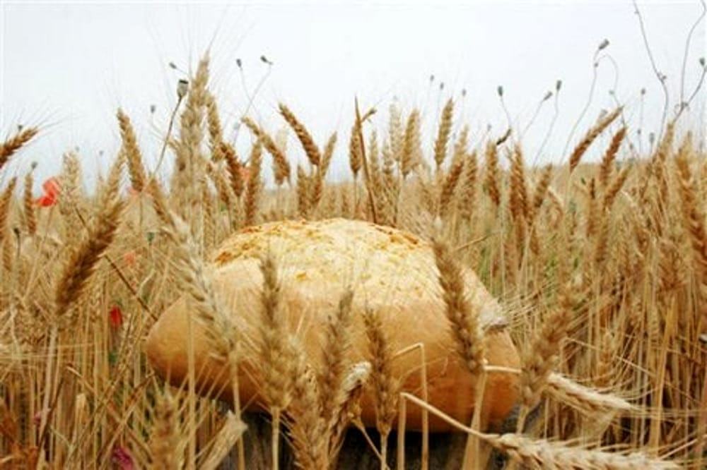 festa del pane maiolo 2