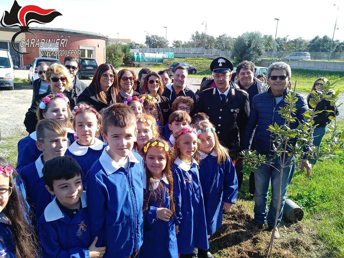 festa dellalbero rossano