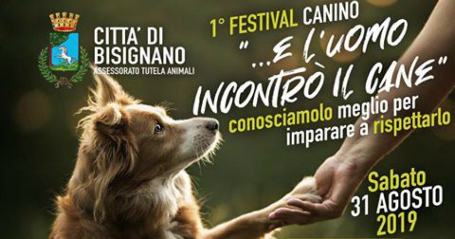 festival canino bisignano