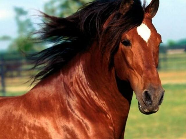 ff27c3a48e2edd54fa66fe1cb62dfe63