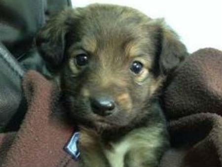 ffbf19e71355c748f691d98441f16327