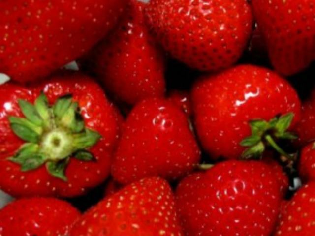 ffe1991fca173b5b449421f2bfcb87a0