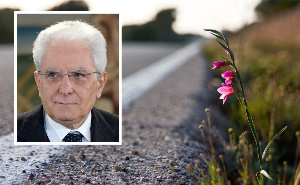 fiore strada vittime incidente presidente mattarella