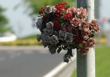 Tragico incidente a Cosenza. L'appello di Occhiuto ai cittadini: "mettetevi alla guida in sicurezza" 203 fiori incidente strada
