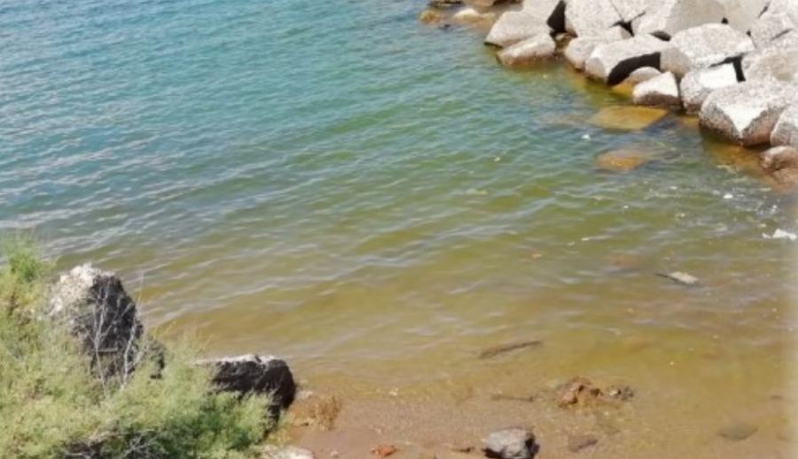 fioritura alghe pizzo