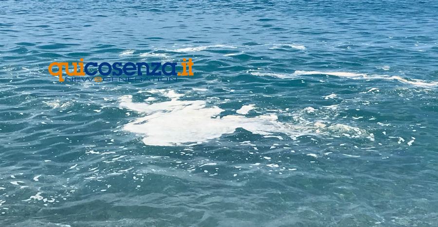 Il tirreno cosentino sporco, Gratteri ha ragione: "è ignoranza, incuria e malafede" (FOTO e VIDEO) 53 fiumefreddo mare 13 agosto 2018 02