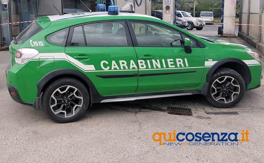 Abusivismo edilizio nel parco, denunciate due persone 51 forestali autolavaggi 2