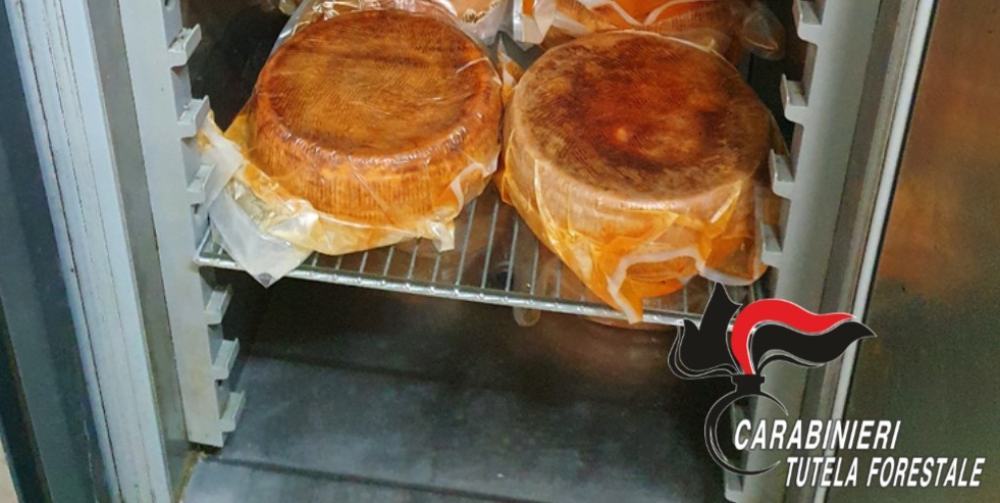 Formaggi senza etichetta, scatta il sequestro e la multa per il caseificio 53 formaggi sequestro gerocarne