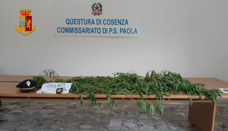 foto alla stampa log