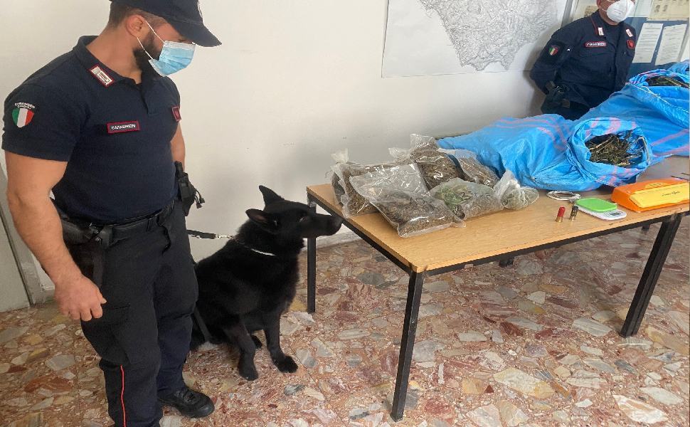 foto arresto cetraro 1