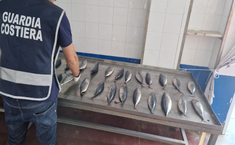 foto comunicato stampa