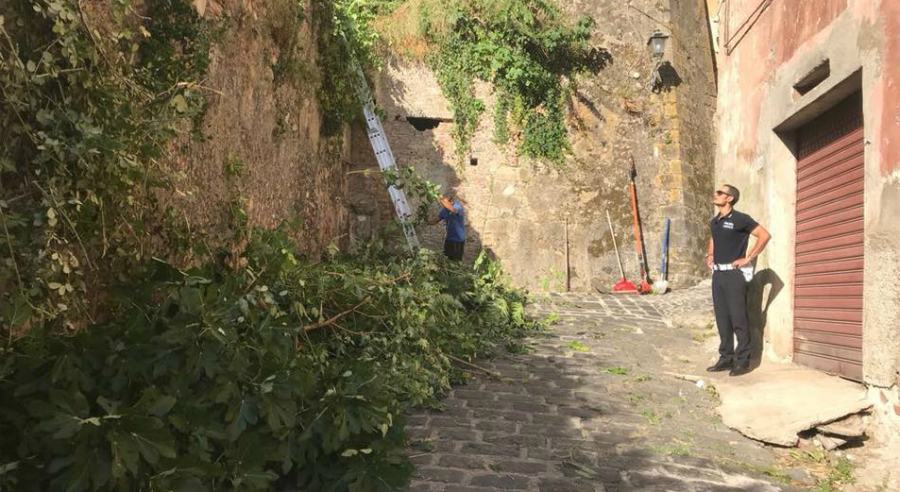 foto copertina giardino passalacqua s