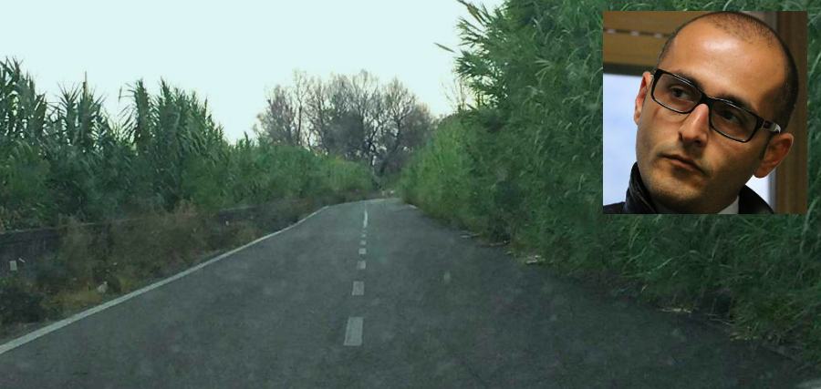 foto di un tratto invaso dalla vegetazione della SP 10